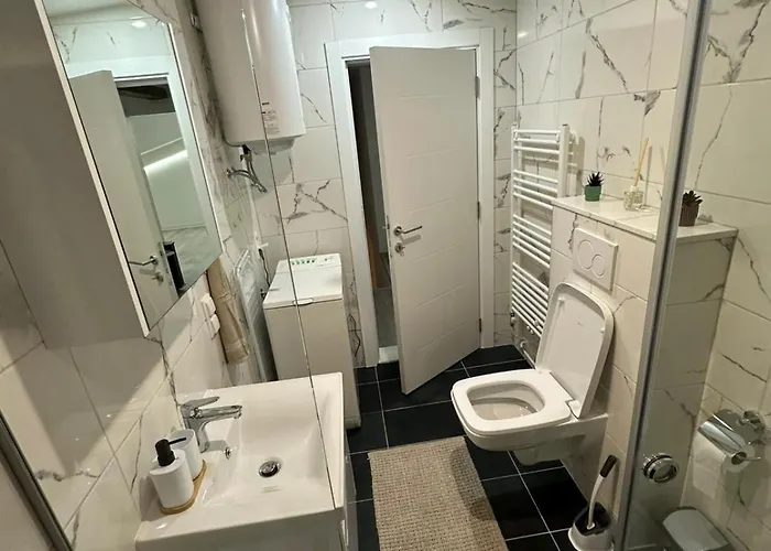 Carsija Light 비소코